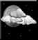 partly cloudy -  rain showers; Cumulonimbus clouds observed