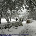 Caminant per Pla d'Es Pouet nevat - Valldemossa