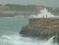 Temporal area Cala Egos