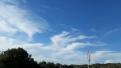 Cirrus Intortus 04-11-2015