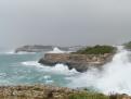 Temporal area Cala Egos