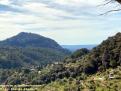 Al fons Palma, des de Valldemossa