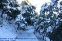 Ascensió al Puig d'En Galileu nevat