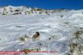 Ascensió al Puig d'En Galileu nevat 13