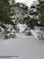 Nevada a la Serra de Tramuntana 8