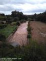 Torrent i camp anegat - Arta