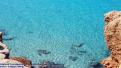 Aigües transparents a Cala Saona - Formentera