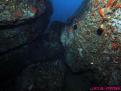 DETALLE DE LA ENTRADA DE UNA CUEVA SUBMARINA